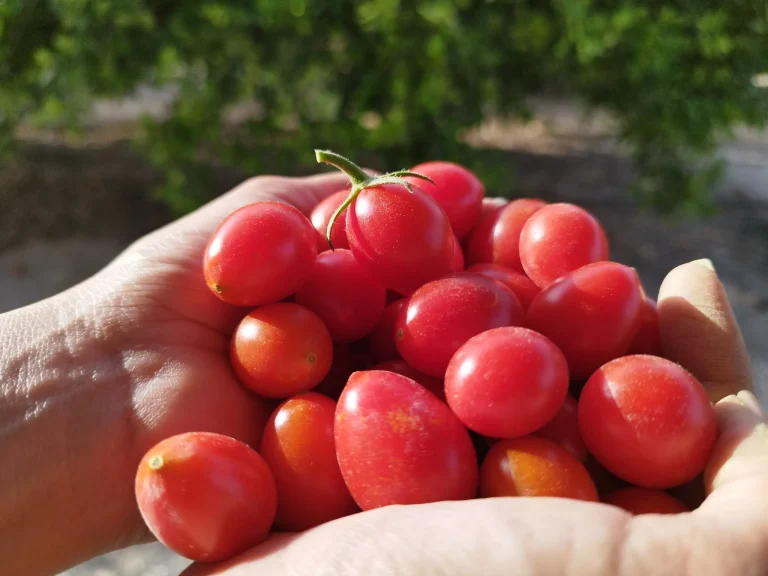 8f4d1f_812216051aee4f1b959b31e4a9f77be9~mv2 (2)