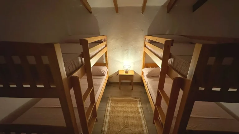 8f4d1f_e15e950b8e8a496cb25287cad8028dae~mv2