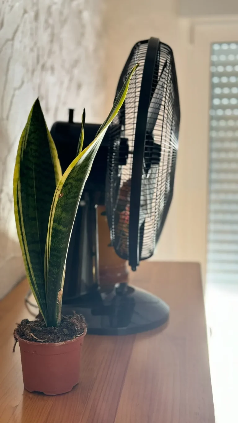 8f4d1f_f6fc54d729764fc789b6e093dac183db~mv2